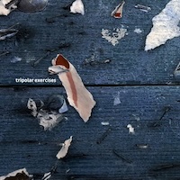 Margolis/Fiebig/Emerge - Tripolar Exercises