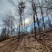 ELKA BONG - TALKING HEADS IN AN ECHO CHAMBER